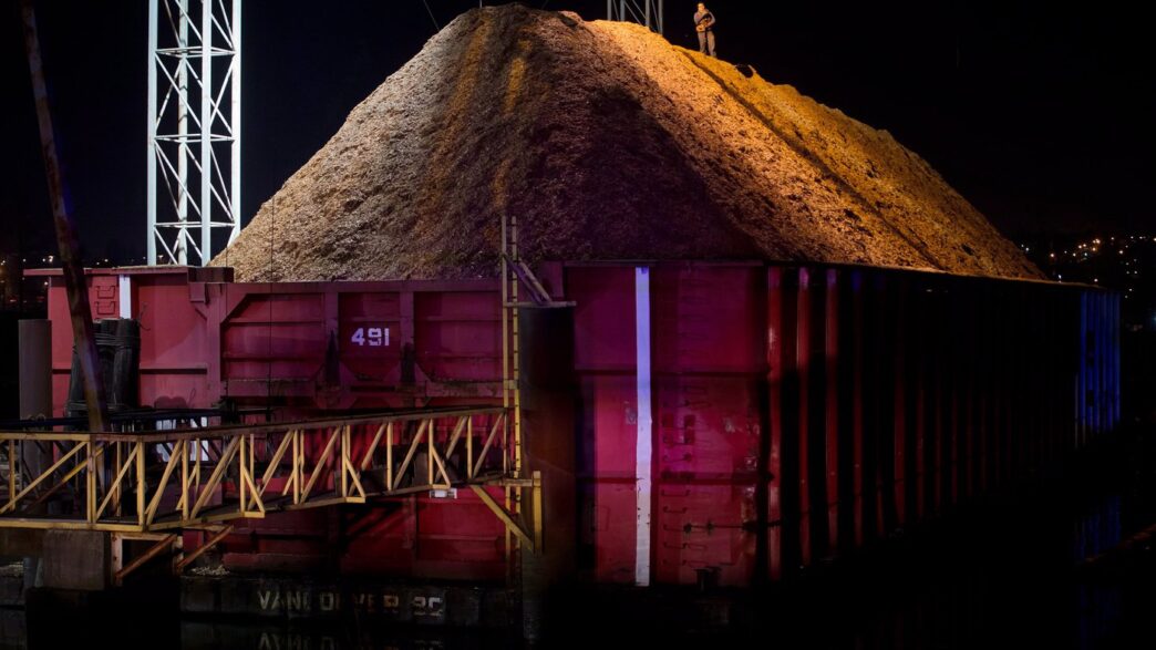 First Nations-owned Vancouver Island wood chip plant set to close in March