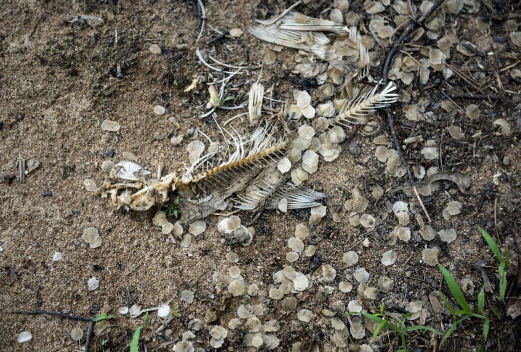 Aggregator Downloaded image for imported item 93561 | Meridian Source Quebec chemical firm hit with $1.4-million fine over substance discharged in river