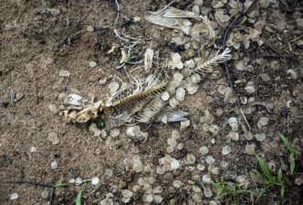 Quebec chemical firm hit with $1.4-million fine over substance discharged in river