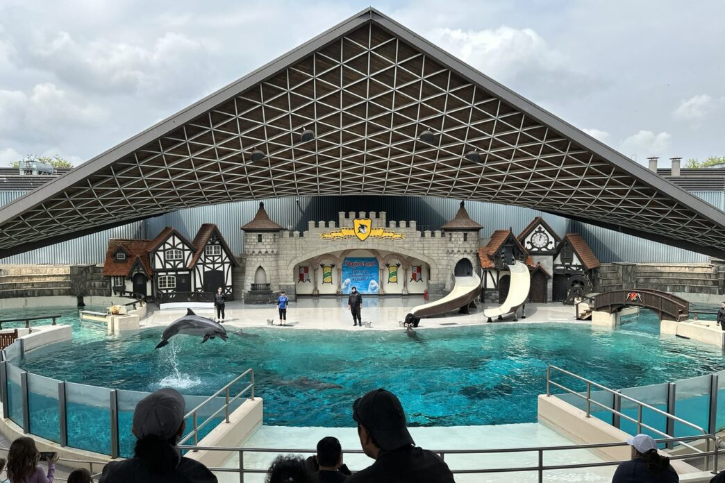 Aggregator Downloaded image for imported item 96007 | Meridian Source Marineland has solid plan to move whales and dolphins to U.S., minister says