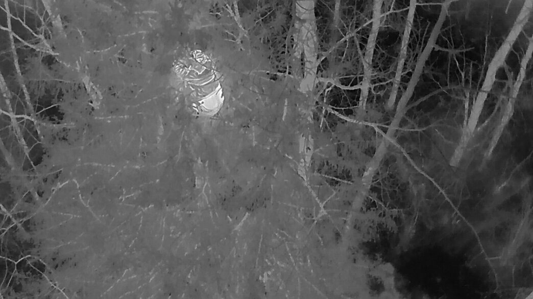 WhiteHot | Meridian Source