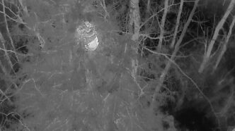 WhiteHot | Meridian Source