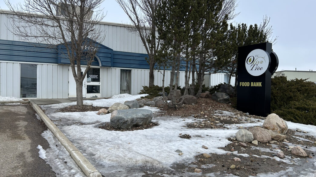 Christian - Olive Tree 1 | Meridian Source