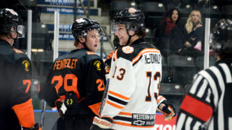 JM-Bobcats-DragonsWEB | Meridian Source