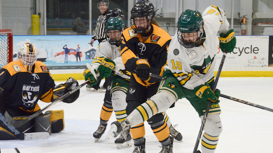 JM-Rustlers-hky-MedHatWEB | Meridian Source