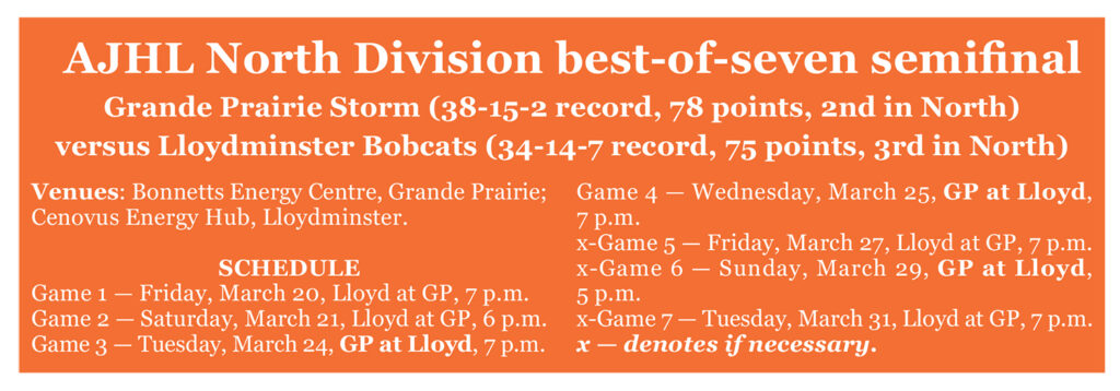 BOBCATS PLAYOFF WEB GRAPHIC | Meridian Source