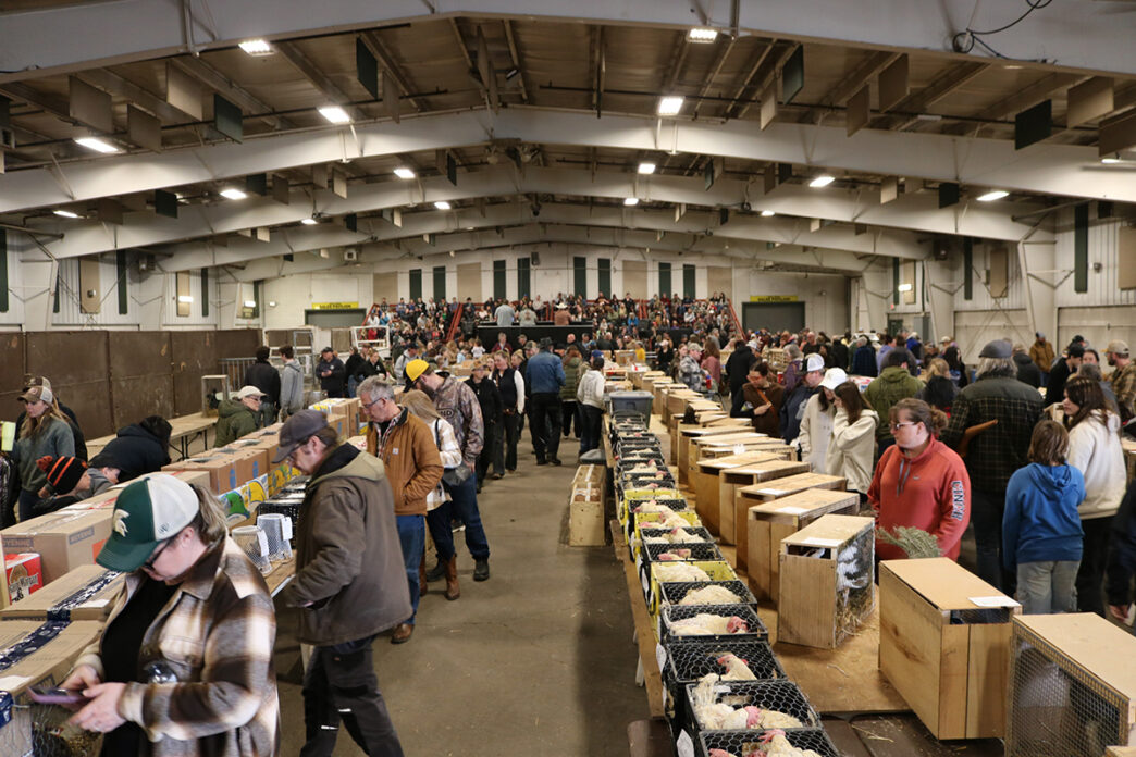 Christian - Rare and Exotic sale | Meridian Source