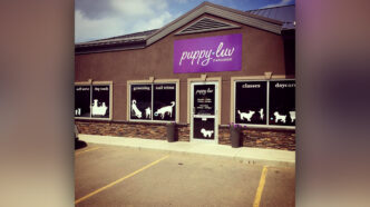 SUB - Puppy Luv | Meridian Source