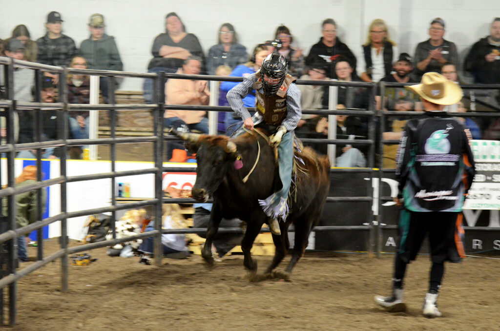 jm-bulls-20-x | Meridian Source Marwayne