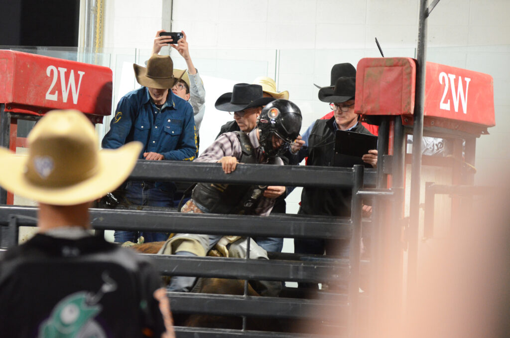 jm-bulls-3-x | Meridian Source Marwayne