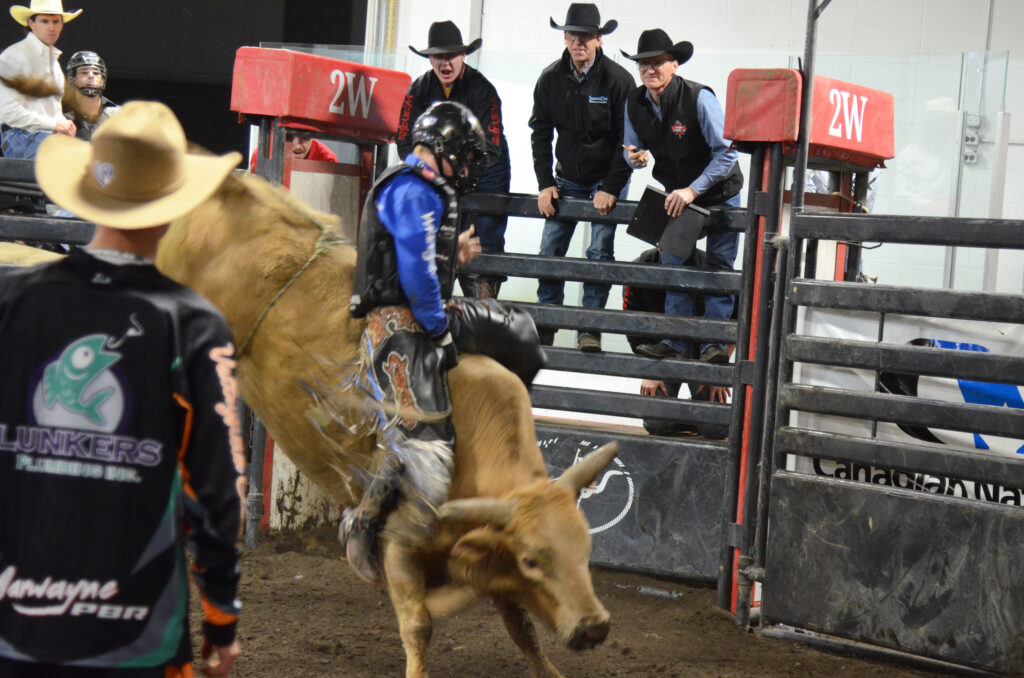 jm-bulls-4-x | Meridian Source Marwayne