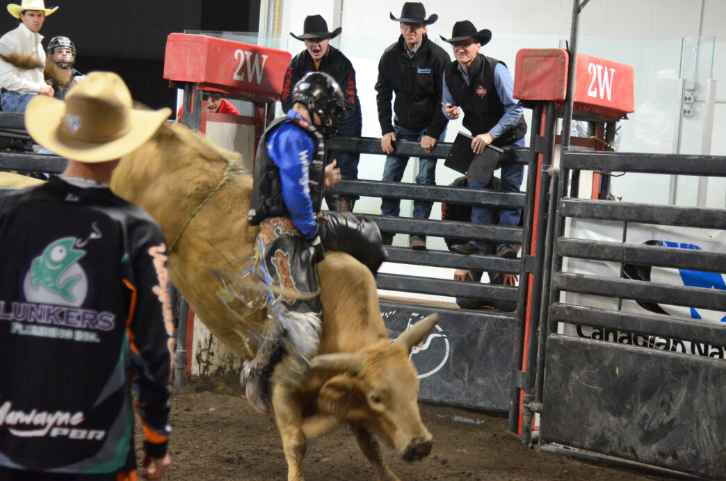 jm-bulls-4-x | Meridian Source