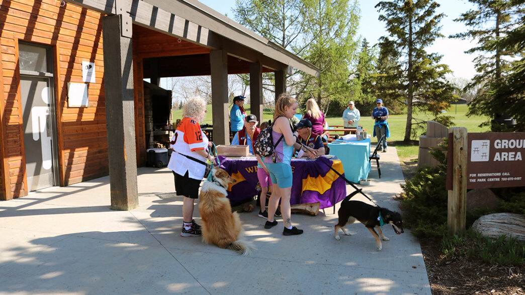 Christian - Lions dog walk 3 | Meridian Source