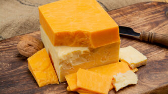 British cheeses collection Scottish coloured and English mature | Meridian Source