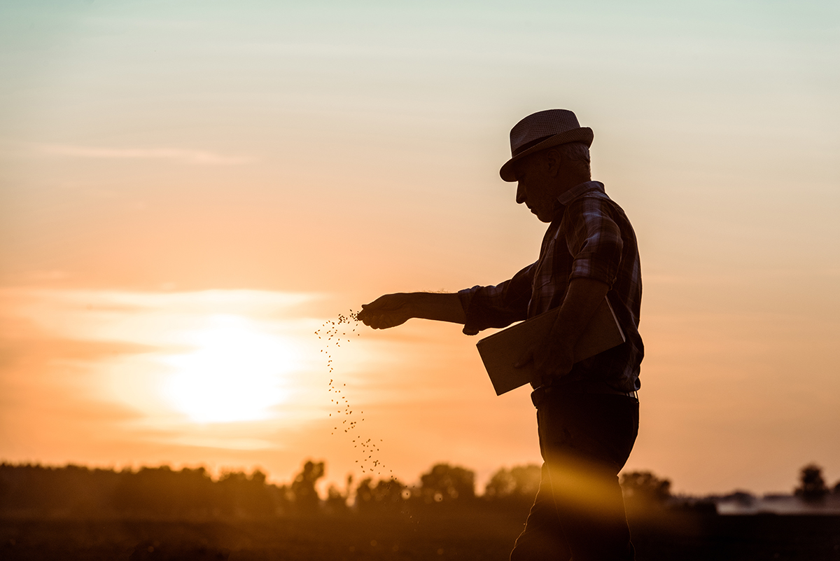 Saskatchewan spring seeding delayed by cold and floods