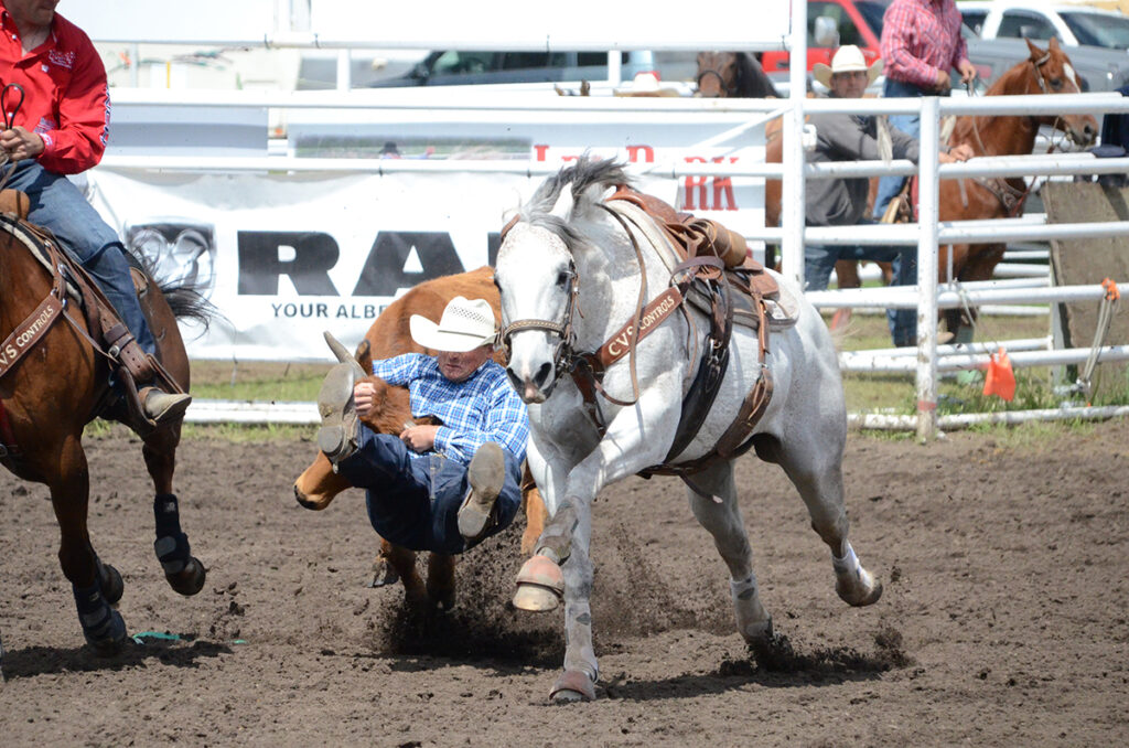 Rodeo