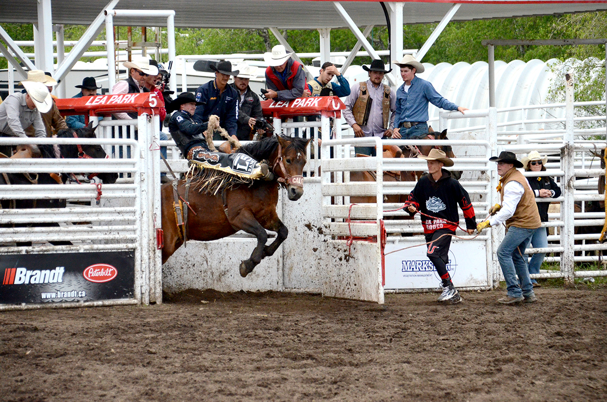 GALLERY: Ridin’ into rodeo season at Lea Park
