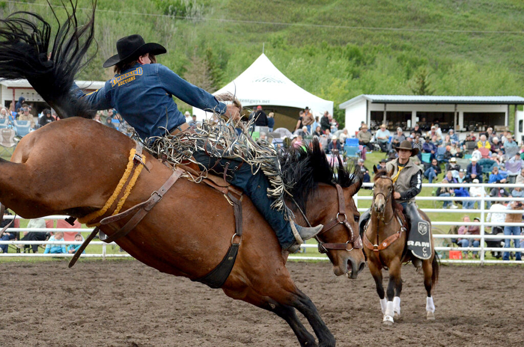 Rodeo