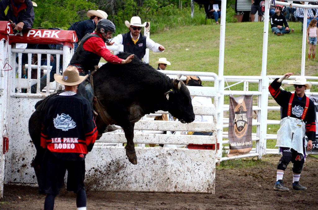 Rodeo