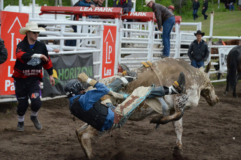 Rodeo