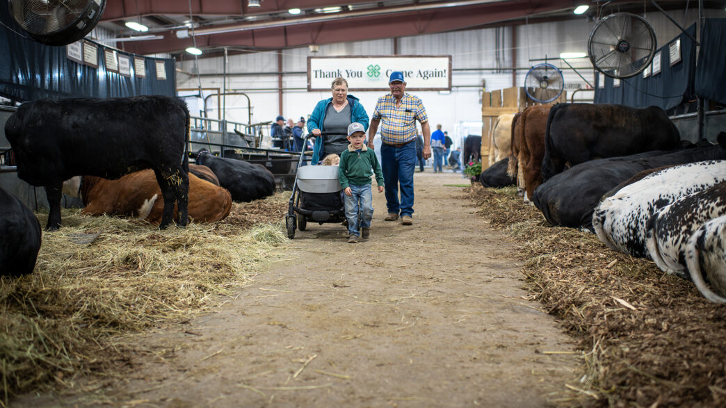 TW - 4H Expo202610 | Meridian Source