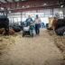 TW - 4H Expo202610 | Meridian Source