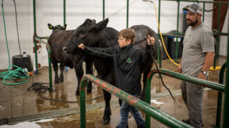 TW - 4H Expo202613 | Meridian Source