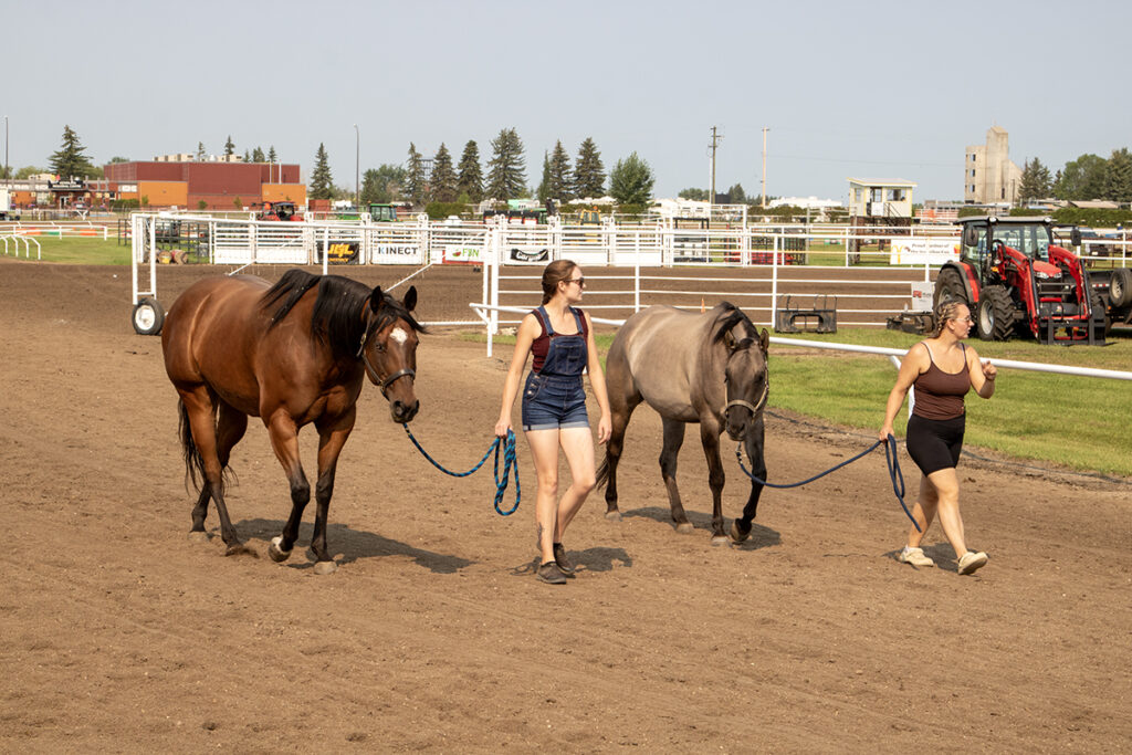 Christian - Vermilion Fair 1 | Meridian Source Vermilion