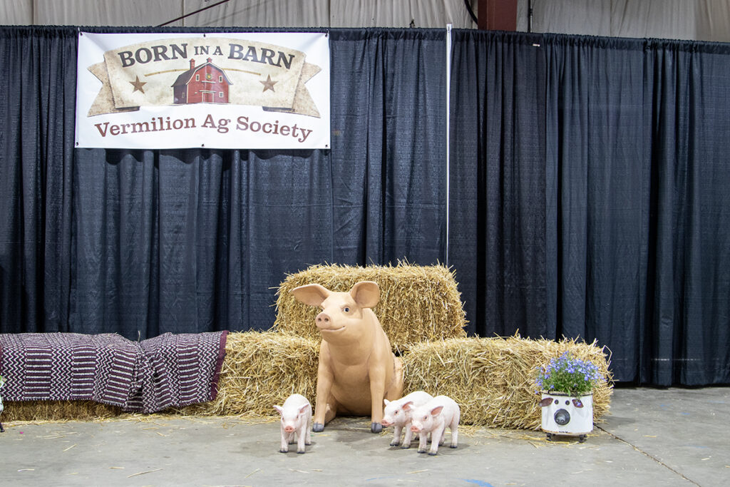 Christian - Vermilion Fair 4 | Meridian Source Vermilion