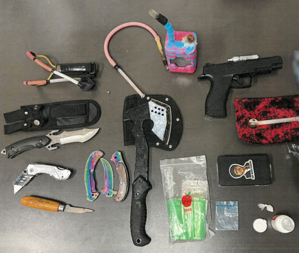 Seized-objects | Meridian Source onion