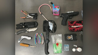 Seized-objectsWEB | Meridian Source