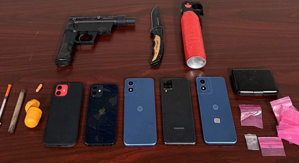 SeizedItems_BiensSaisis | Meridian Source