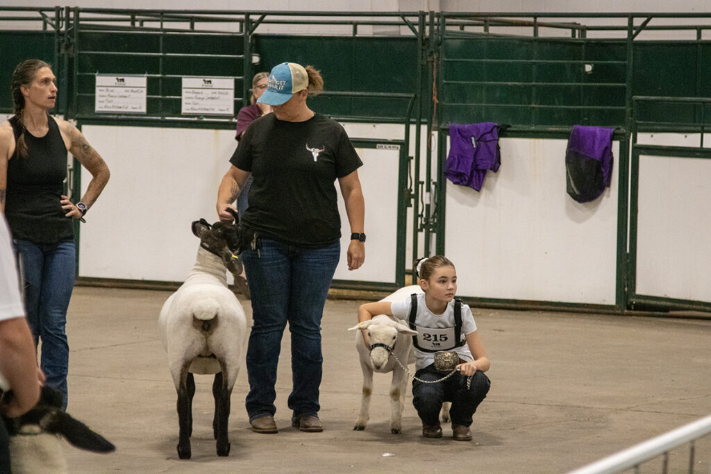 4-H
