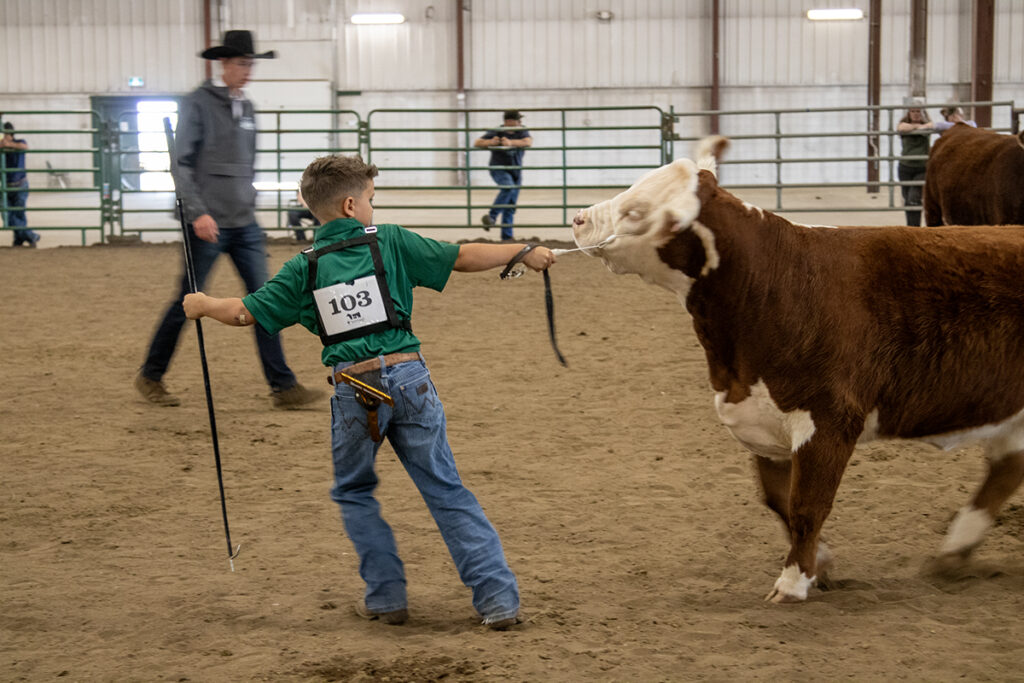 4-H