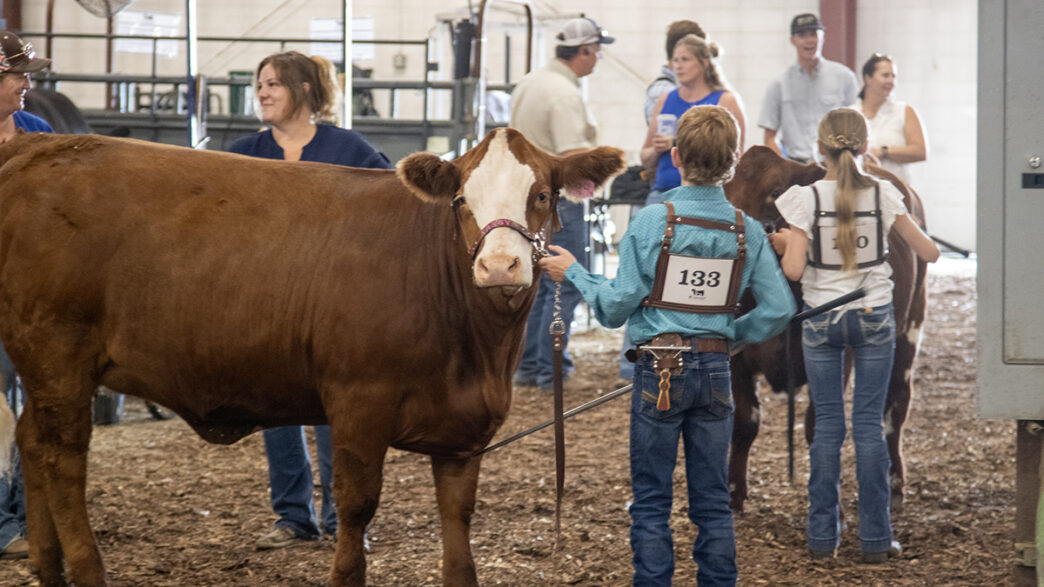 Christian - Provincial 4H 5 edit | Meridian Source