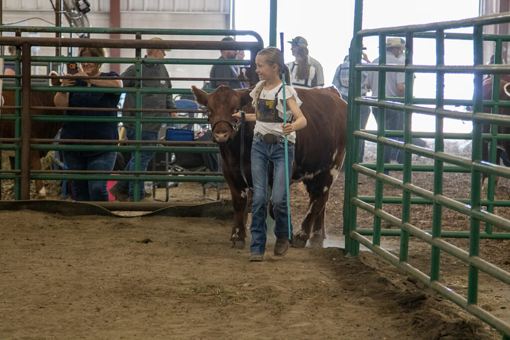 4-H