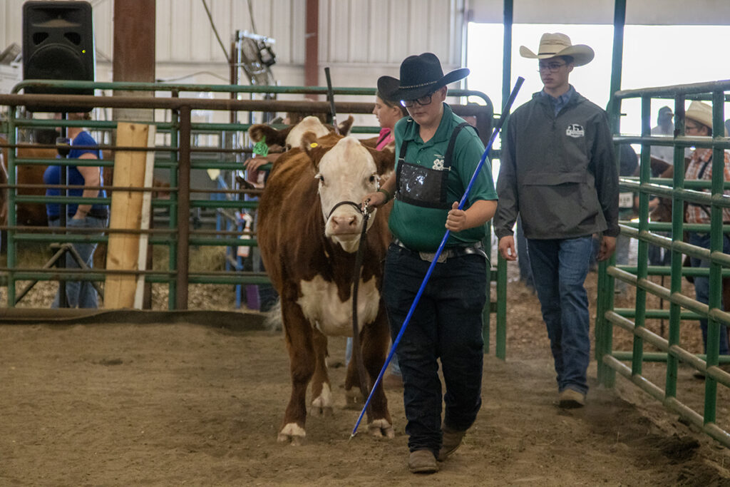 4-H