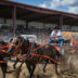 TW - CPCA FinalsOnionLake9 | Meridian Source