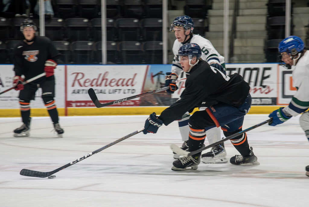 TW - Bobcats Exhibition3 | Meridian Source