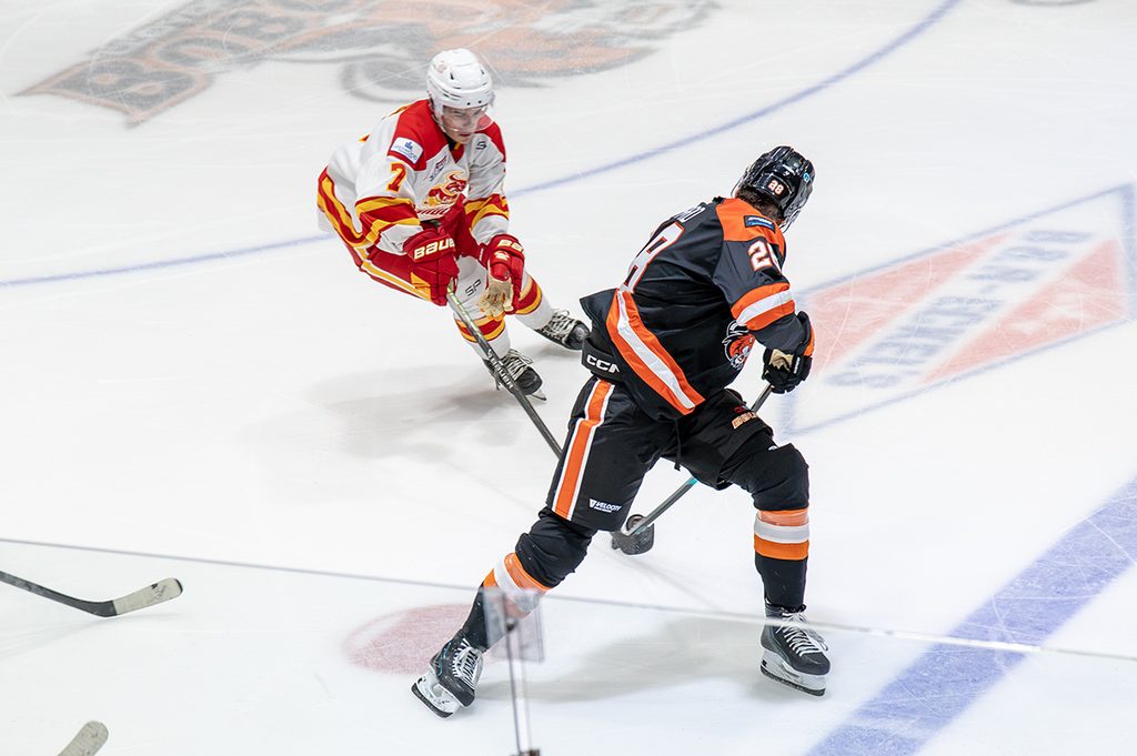 TW- BobcatsCalgary3 | Meridian Source Bobcats