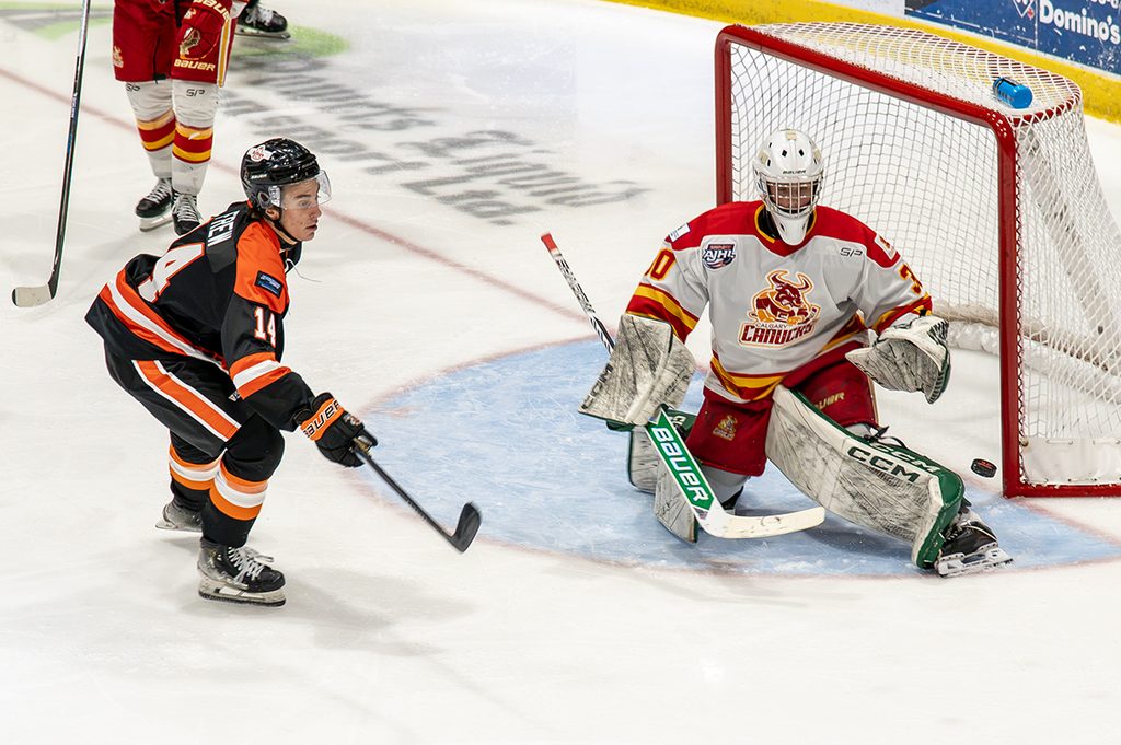 TW- BobcatsCalgary5 | Meridian Source Bobcats