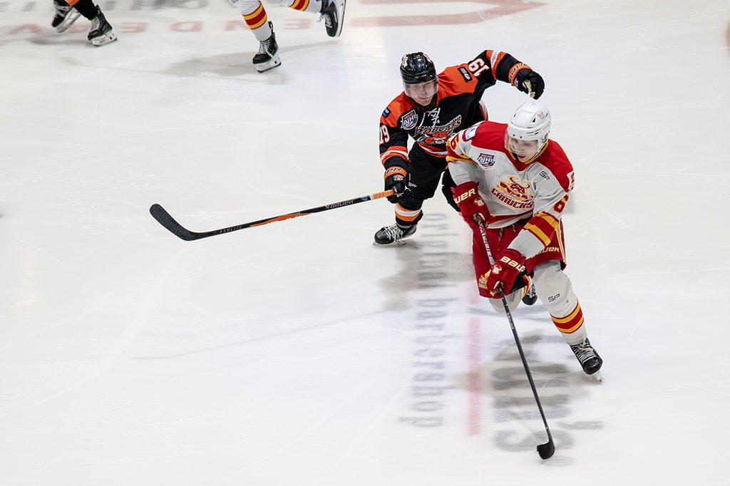 TW- BobcatsCalgary6 | Meridian Source Bobcats