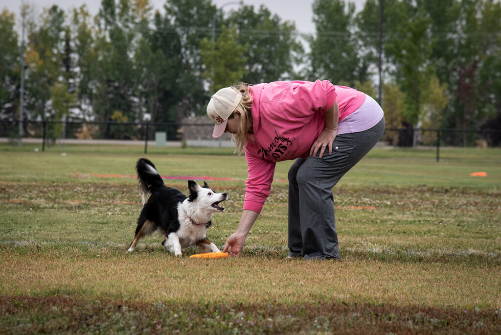 TW - Frisbee Dogs3 | Meridian Source Frisbee