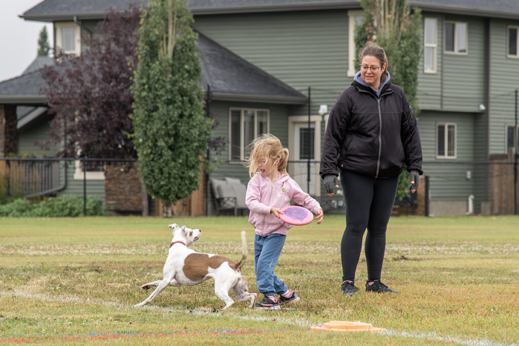 TW - Frisbee Dogs4 | Meridian Source Frisbee