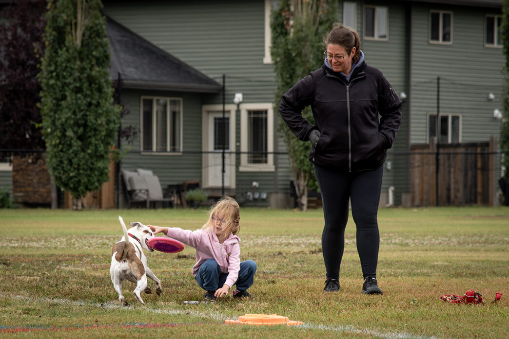 TW - Frisbee Dogs5 | Meridian Source