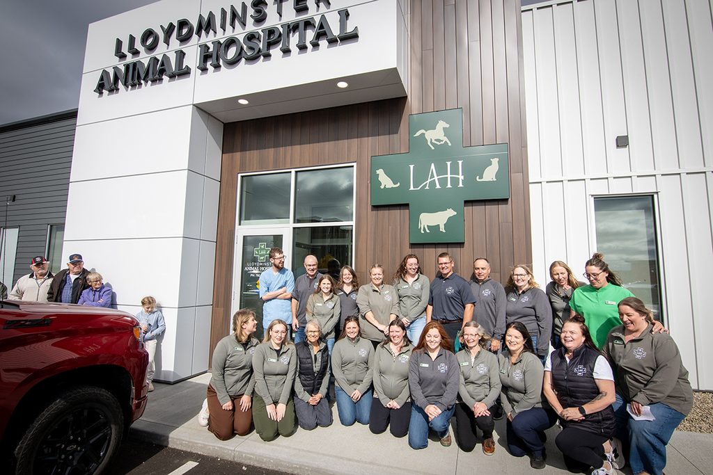 TW - LAH Grand Opening20261 | Meridian Source Animal Hospital