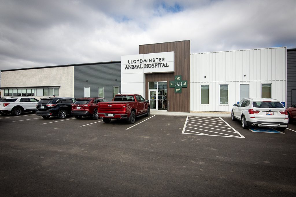 TW - LAH Grand Opening20264 | Meridian Source Animal Hospital