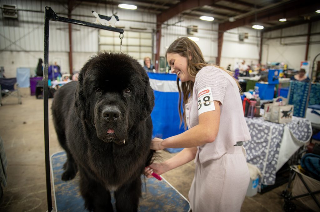 TW - Lloyd Kennel Club ShowSept20261 | Meridian Source Kennel