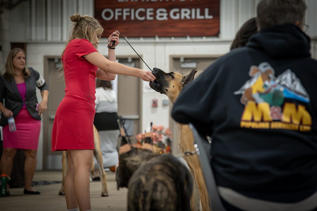 TW - Lloyd Kennel Club ShowSept20263 | Meridian Source Kennel