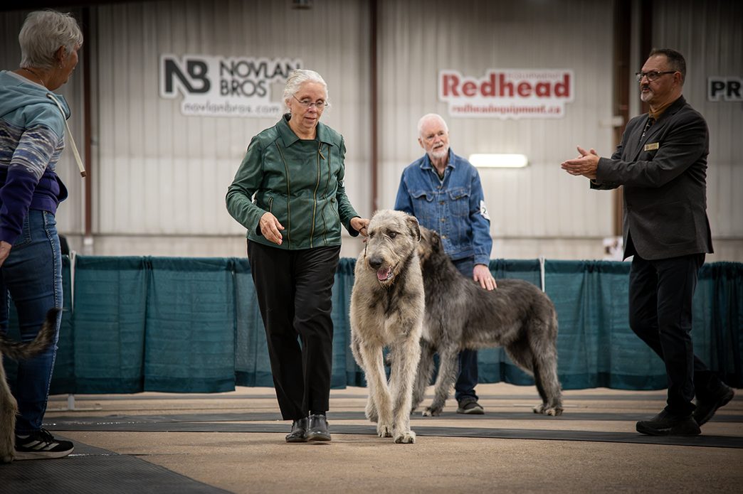 TW - Lloyd Kennel Club ShowSept20265 | Meridian Source
